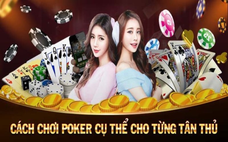 Hướng dẫn cách chơi poker cho hội viên mới tham gia