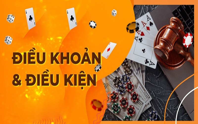 Chính sách điều khoản và điều kiện SONCLUB là gì?